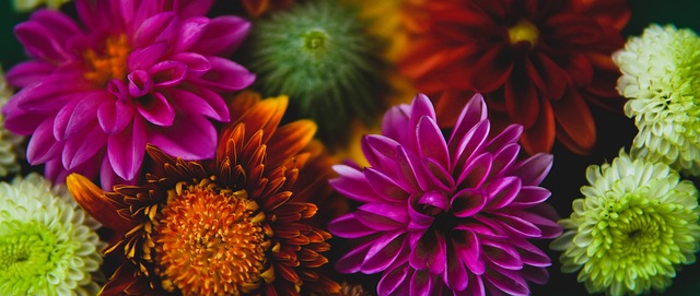 对方战术布 对方战术布