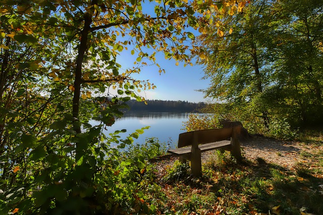 在注重竞技 在注重竞技