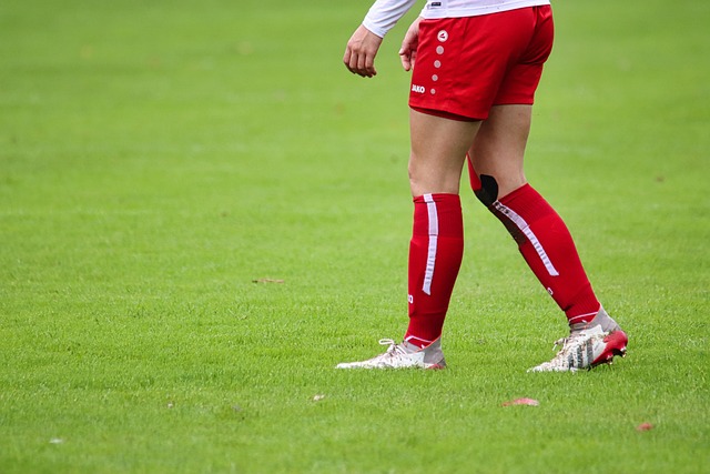 正是他能够 正是他能够