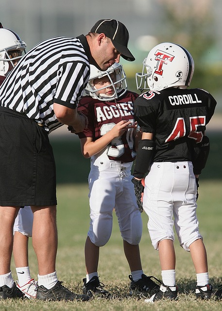 世界冠军刘 世界冠军刘