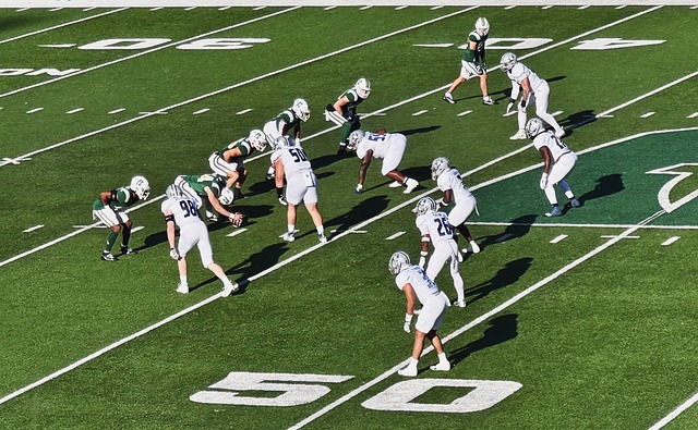 不仅因为他 不仅因为他