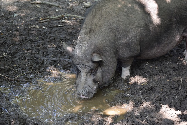 创新和进步 创新和进步