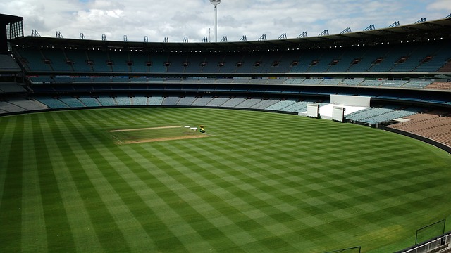 喀麦隆非洲 喀麦隆非洲