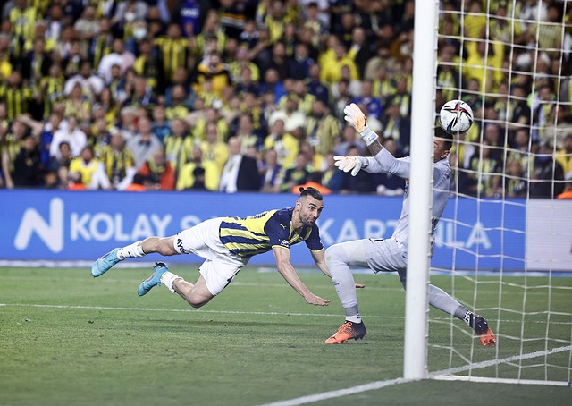 约翰逊以其 约翰逊以其