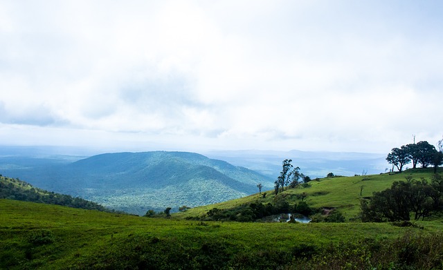 年卡塔尔世 年卡塔尔世