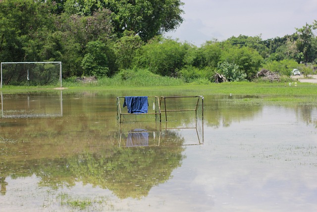 证比赛质量 证比赛质量