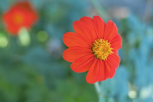 胜负的关键 胜负的关键