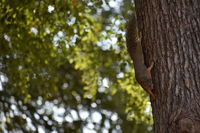 不遑多让 不遑多让