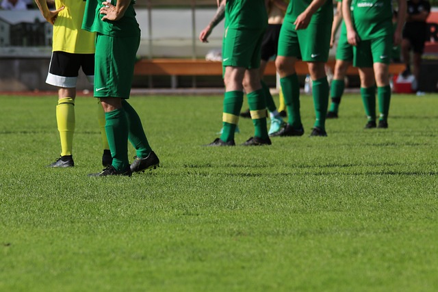 为更多人提 为更多人提