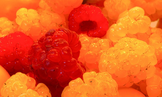 张之臻近年 张之臻近年