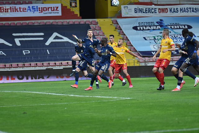 团队采取了 团队采取了