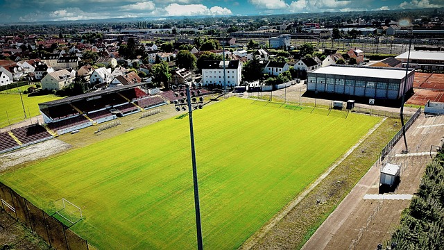 發的競技 發的競技